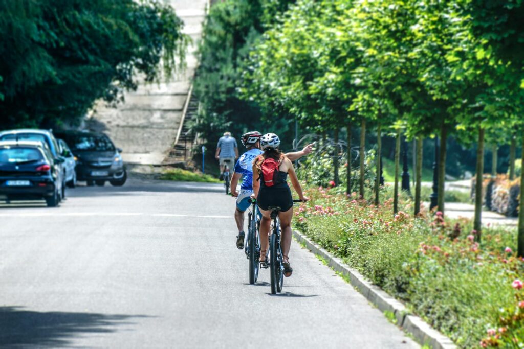 People cycling on a tree-lined city street during a sunny summer day, embracing outdoor leisure and fitness.